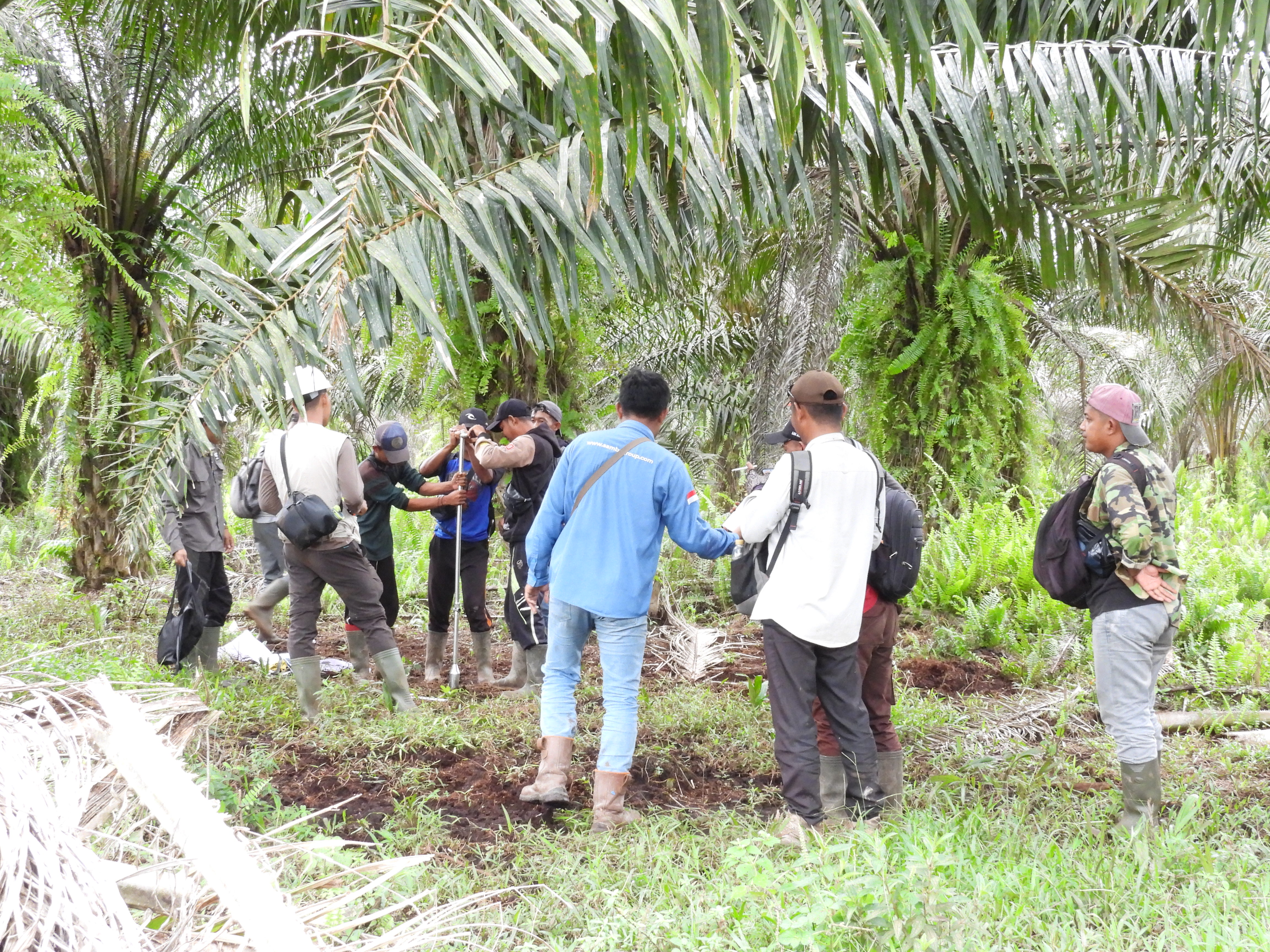 Peat drilling process