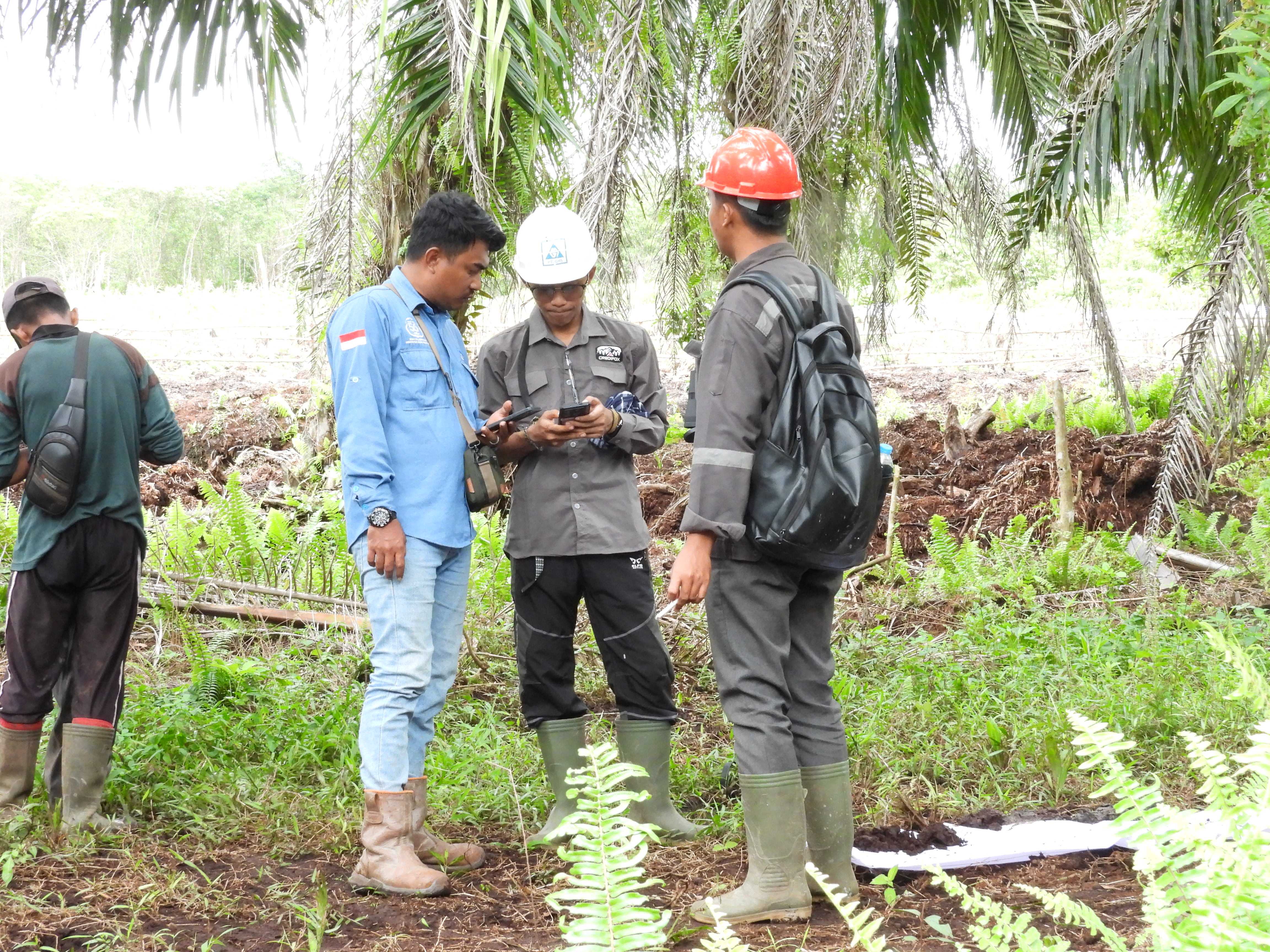 Disscusion about survey directions