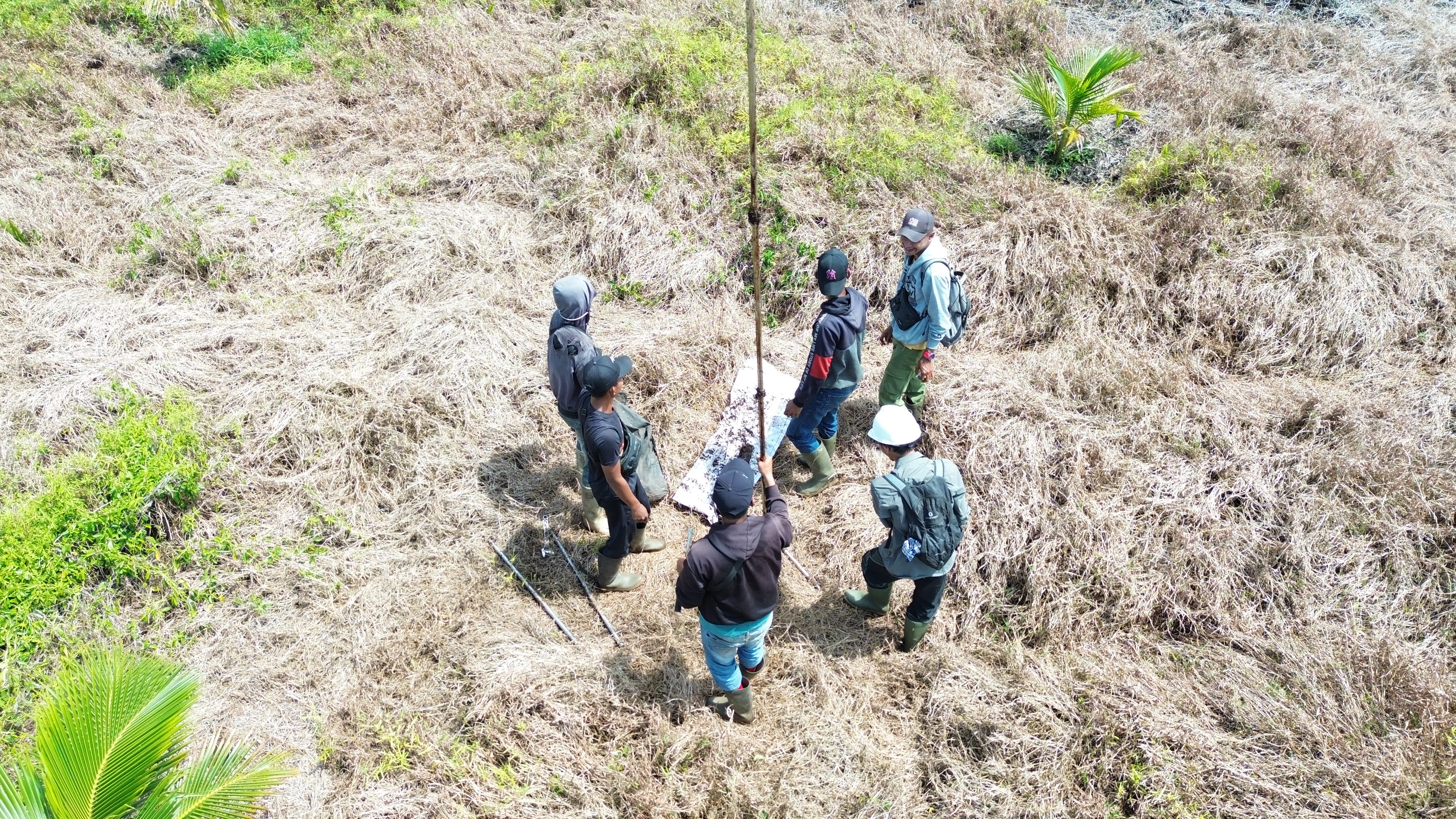 Taking peat soil process